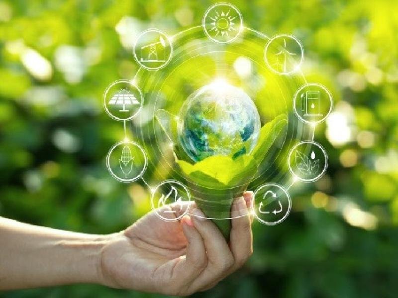 La Marketplace au Service de l’Environnement : Une Nouvelle Ère du ...